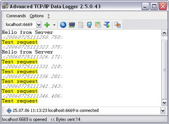 TCP Logger AX screenshot